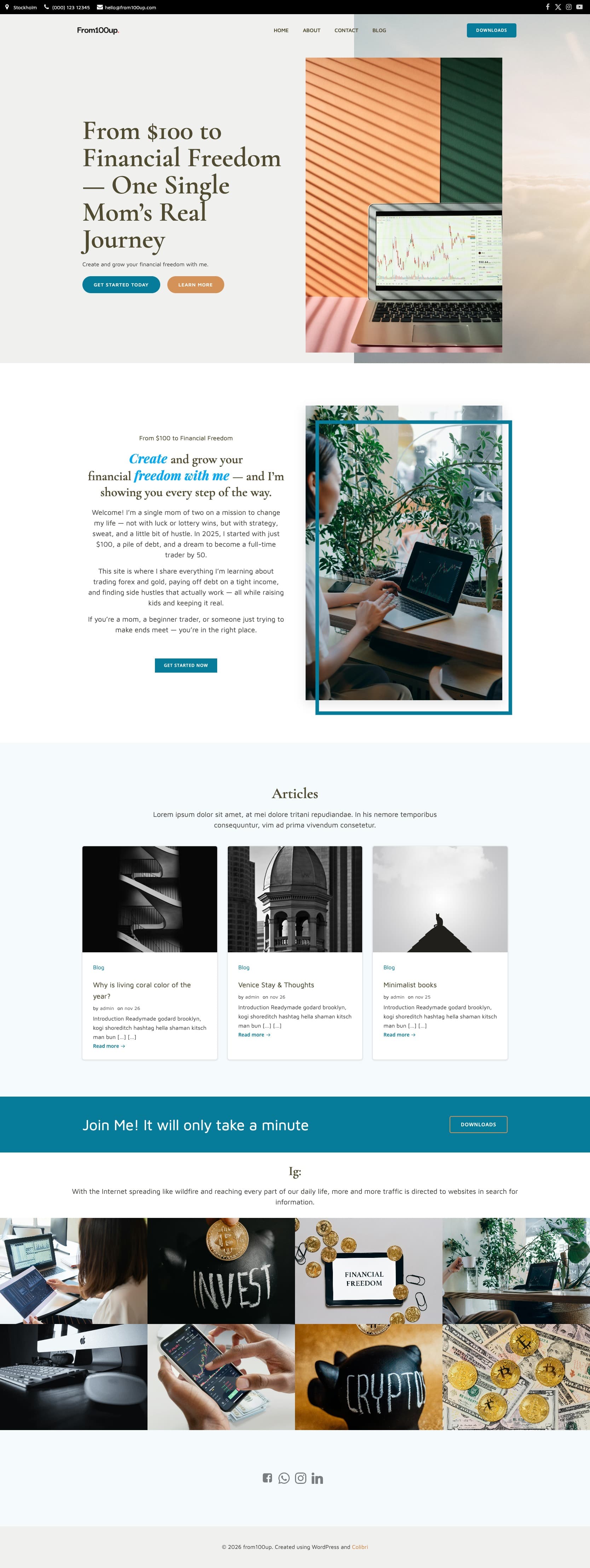 Screenshot of WordPress Project